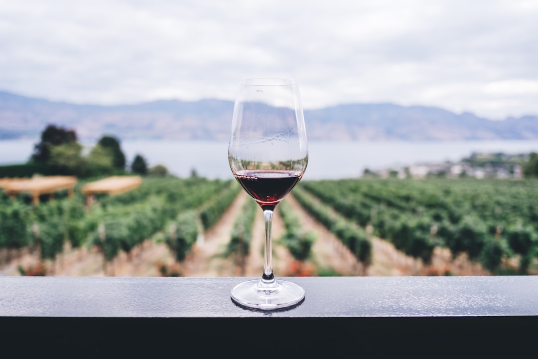 Køb og salg af vin: En guide til vinelskere